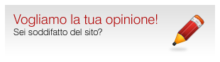 Questionario